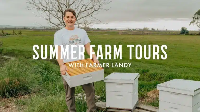 Summer Farm Tours Series with Farmer Landy
